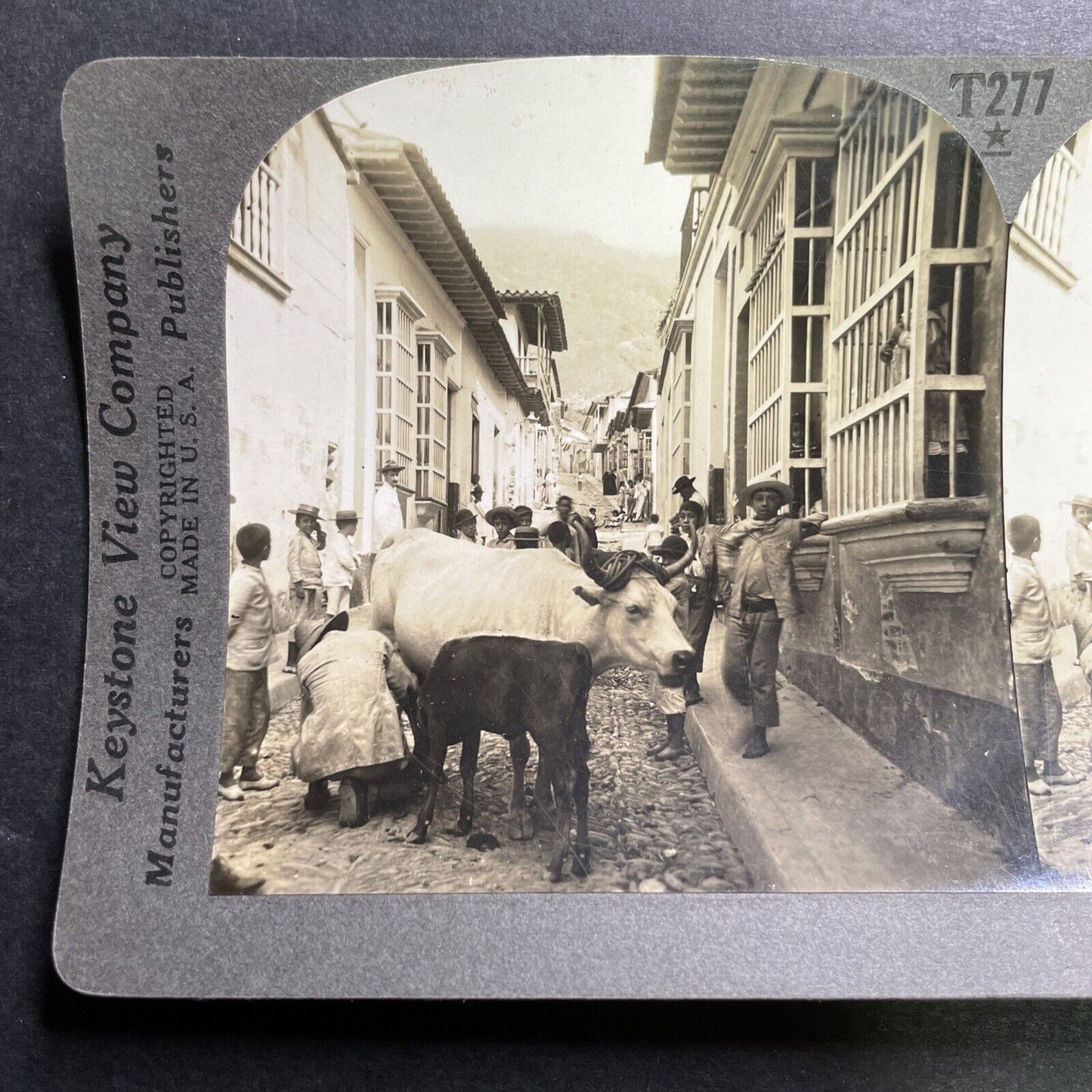 Antique 1918 Milking Cows Downtown Caracas Venezuela Stereoview Photo Card P1366