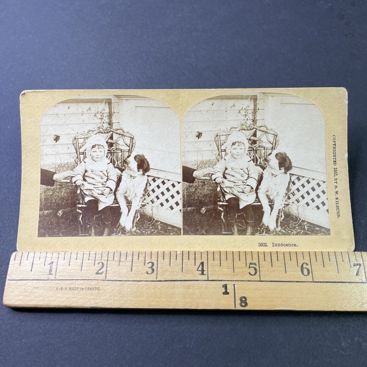 Antique 1882 Toddler With A Cocker Spaniel Dog Stereoview Photo Card P3009