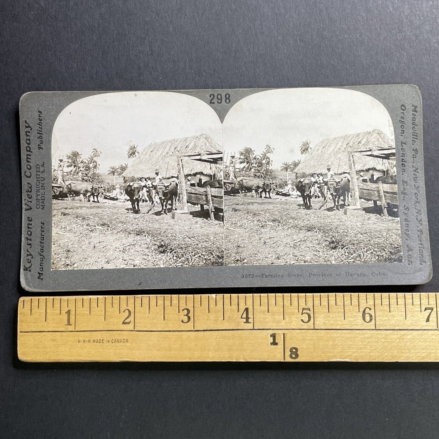 Antique 1918 Farming Farm In Havana Cuba Stereoview Photo Card P1612