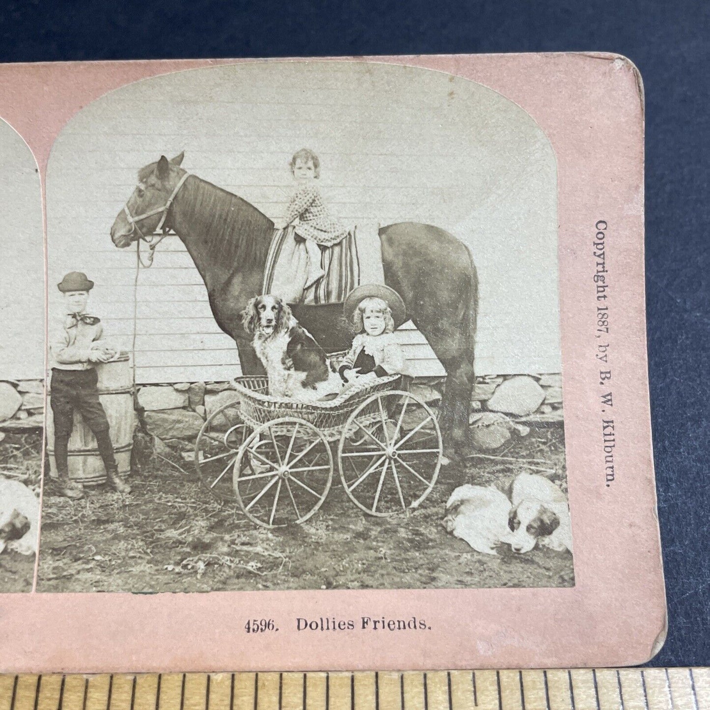 Antique 1887 Children & Dogs With Horse & Buggy Stereoview Photo Card P4712