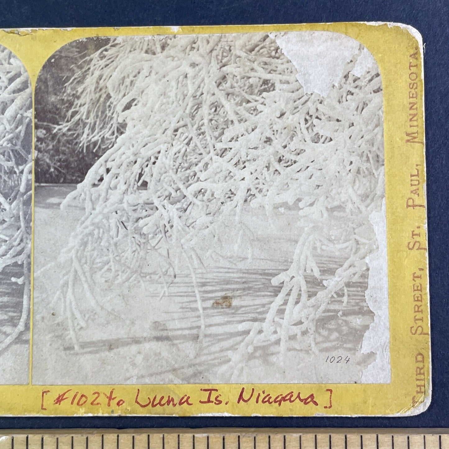 Frozen Trees on Luna Island Niagara Stereoview Charles Zimmerman c1870s Y2608