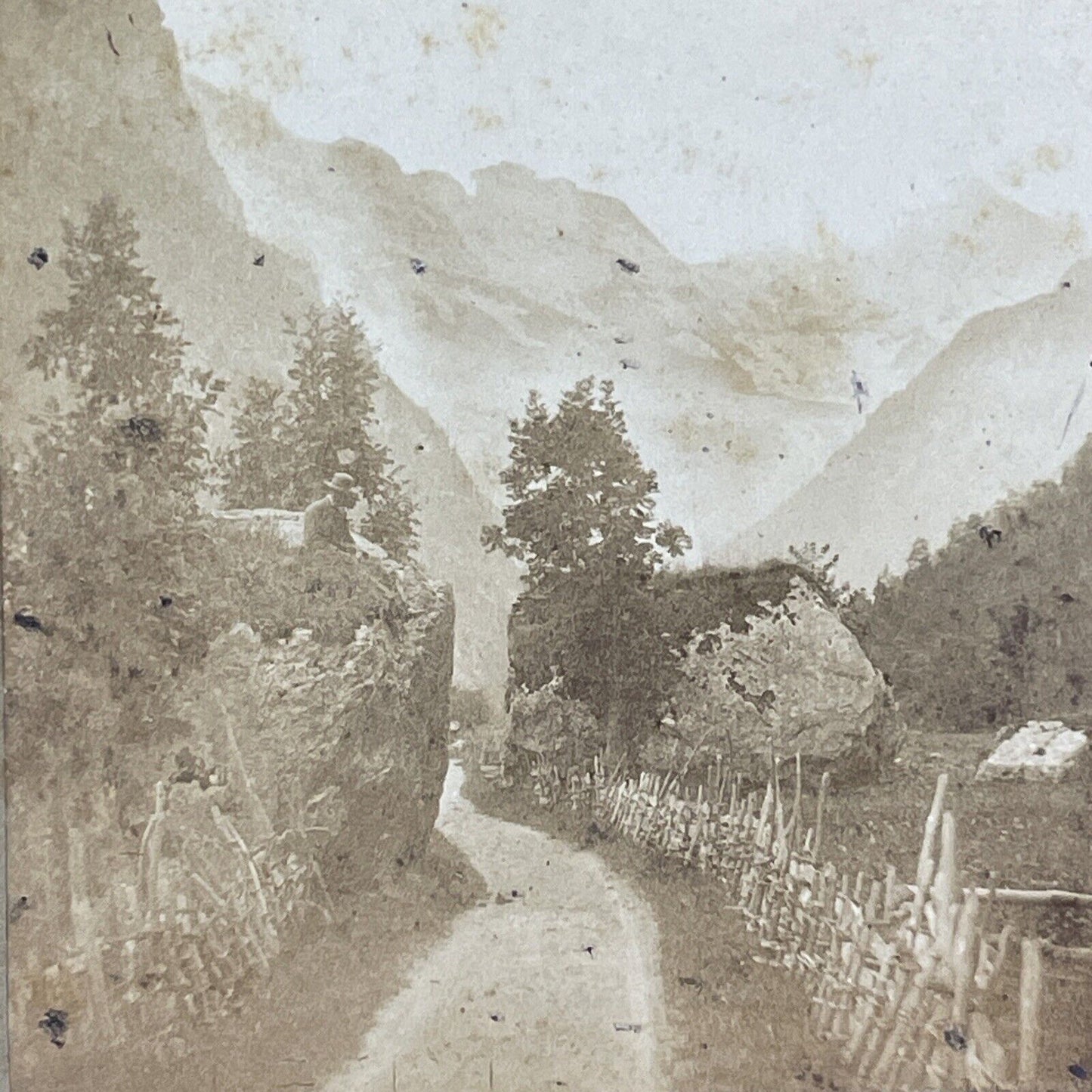 Village Road in Lauterbrunnen Switzerland Stereoview Antique c1855 Y1119