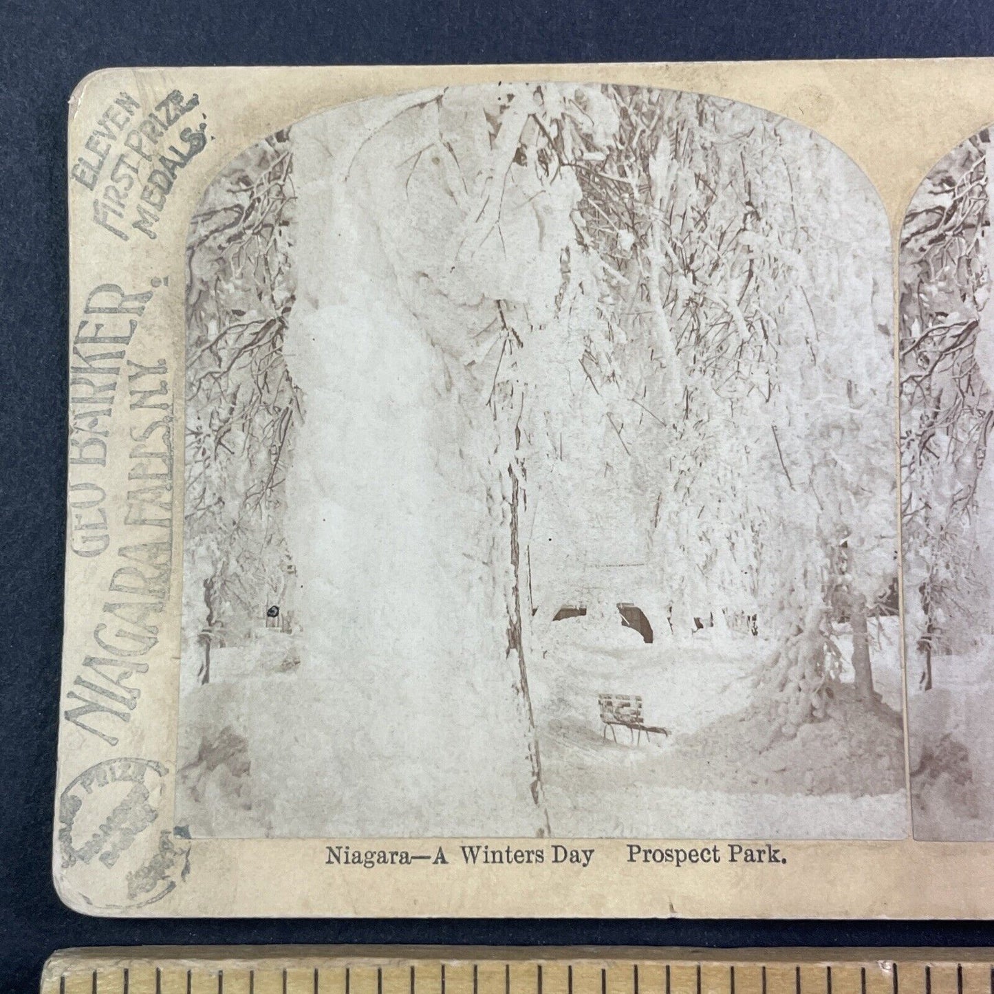 Prospect Park Niagara Falls Frozen Winter Stereoview George Barker c1870s Y1739