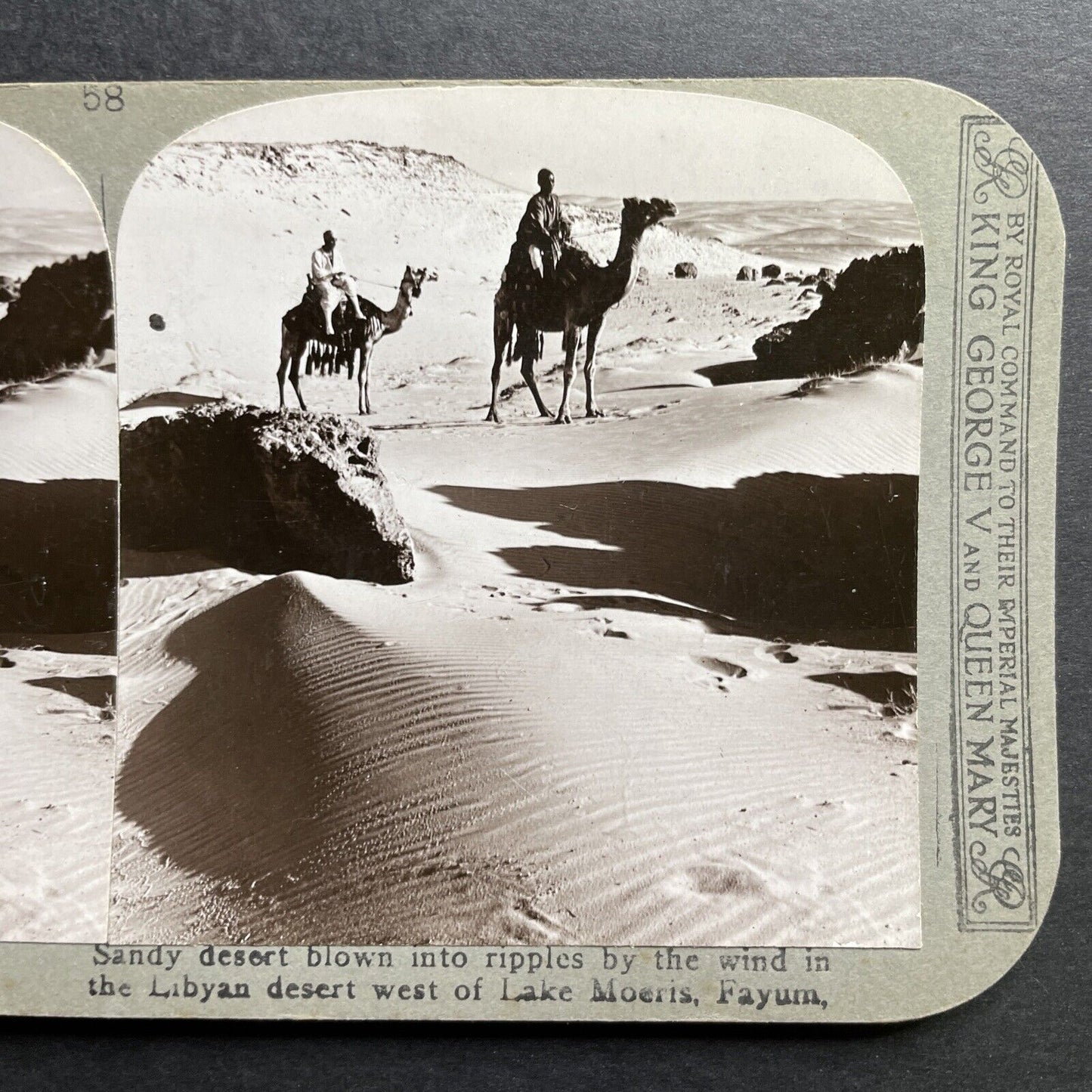 Antique 1890s Bedouin Travellers On Camel Libya Stereoview Photo Card P1300