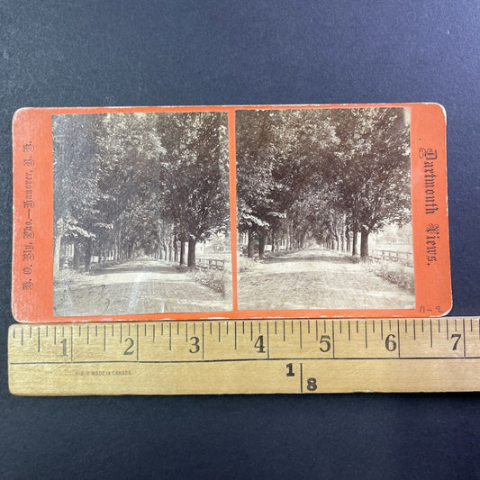 Dartmouth University Laneway Stereoview Hanover NH Photo Card Antique c1870 X938