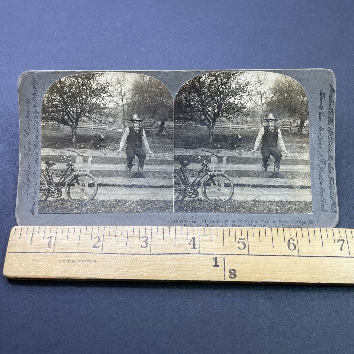 Antique 1900 A Poor Old Farmer Sits On A Fence Stereoview Photo Card P2643