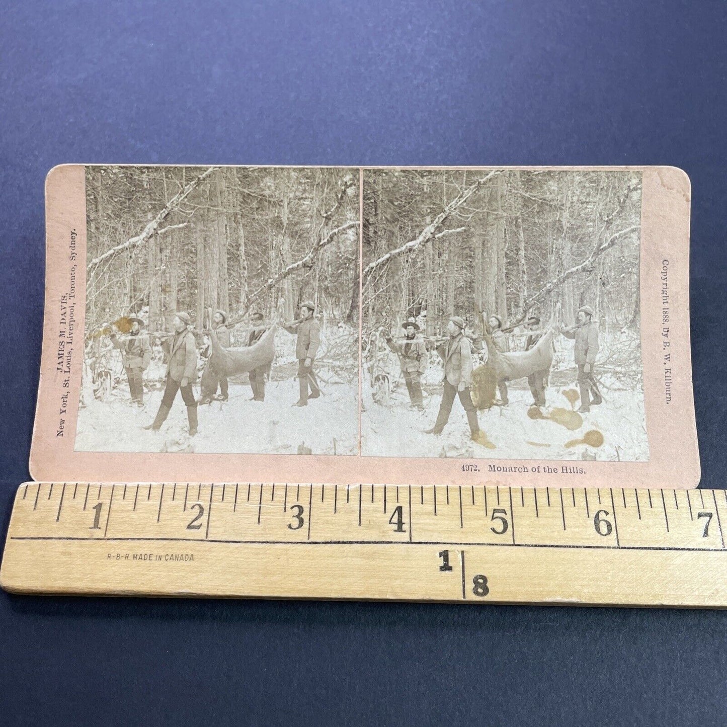 Antique 1888 Men Carry Large Buck Deer Hunting Hunt Stereoview Photo Card P3511