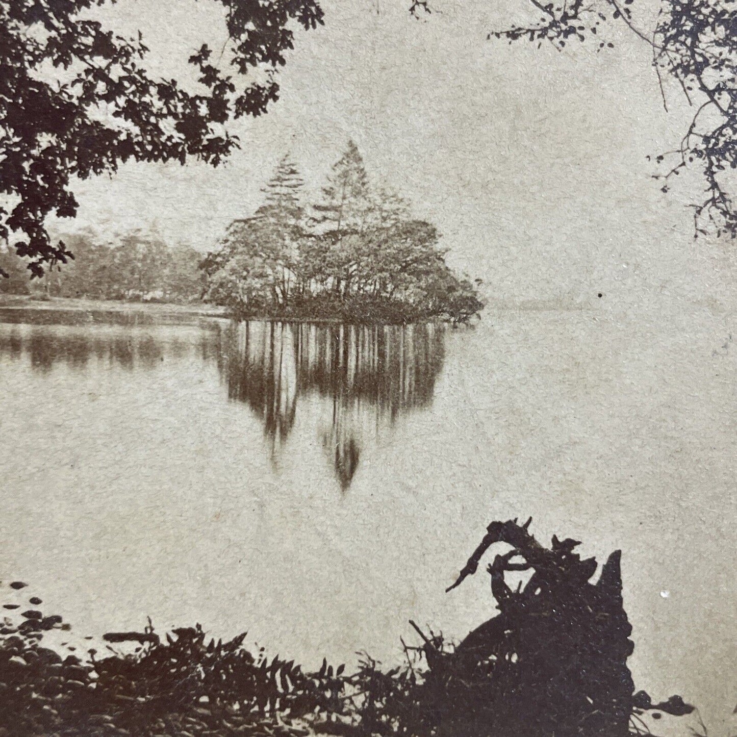 Antique 1890s Swan Island Loch Lomond Scotland Stereoview Photo Card P5564