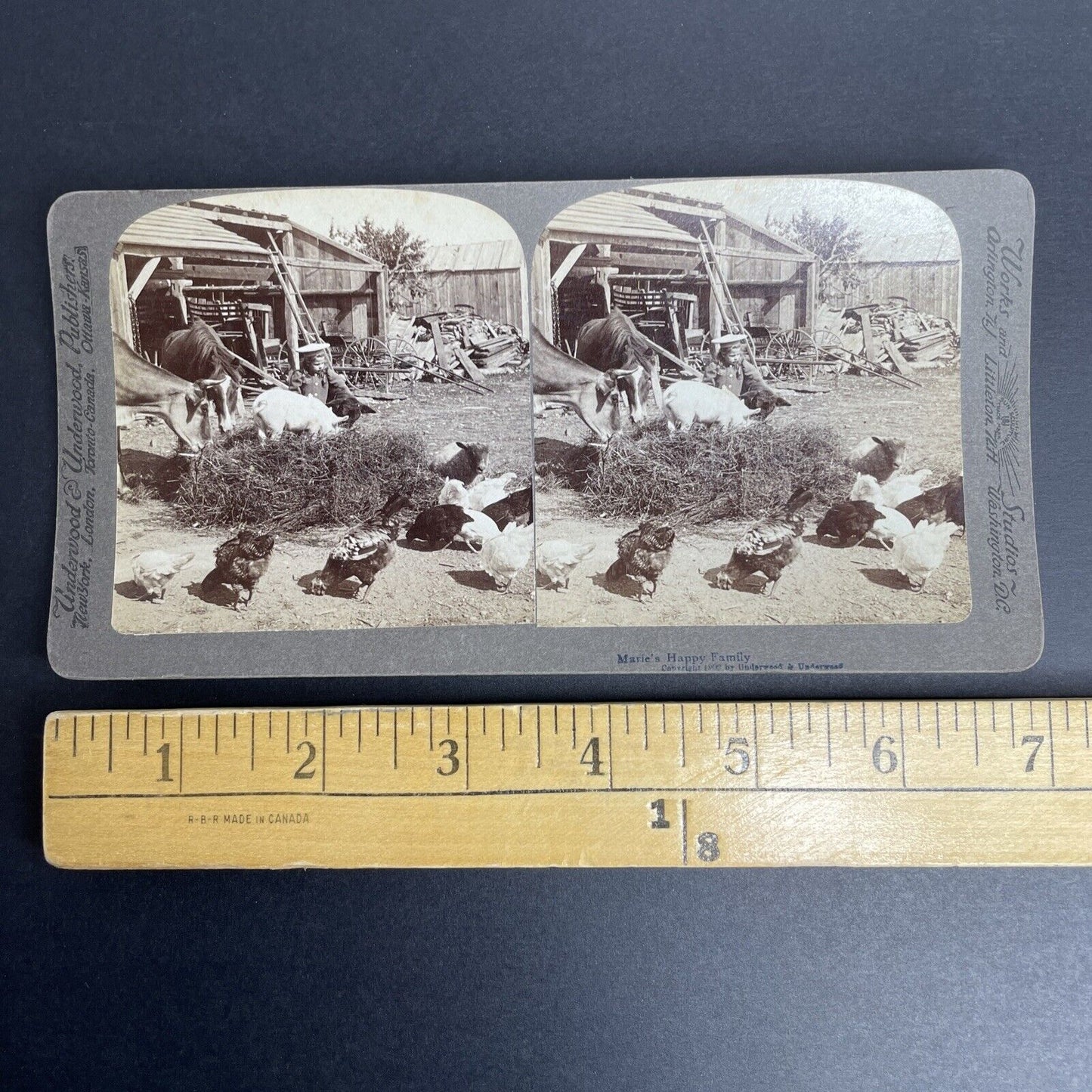 Antique 1902 Typical United States Midwest Farm Stereoview Photo Card PC800