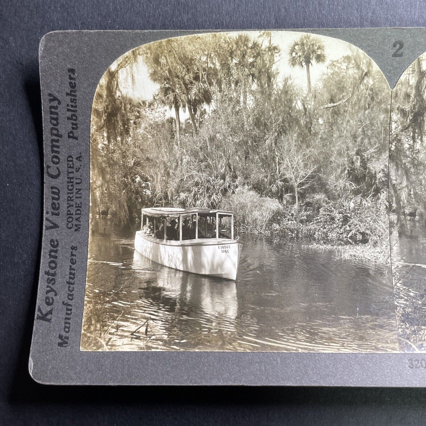 Antique 1920s Everglades Tour In Tarpon Springs FLA Stereoview Photo Card P1600