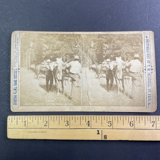 T.W. Ingersoll Self-Portrait Packing Horse Stereoview Antique c1888 Y427 CREASE