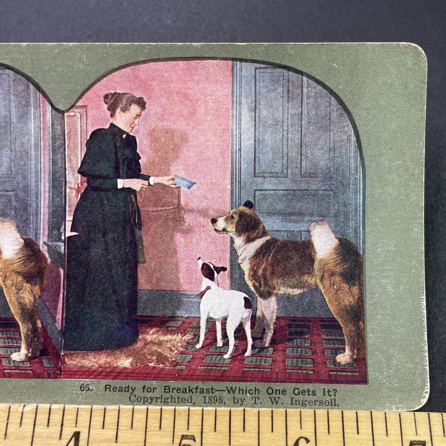 Antique 1898 Woman Feeds Her Dogs Breakfast Stereoview Photo Card P3122