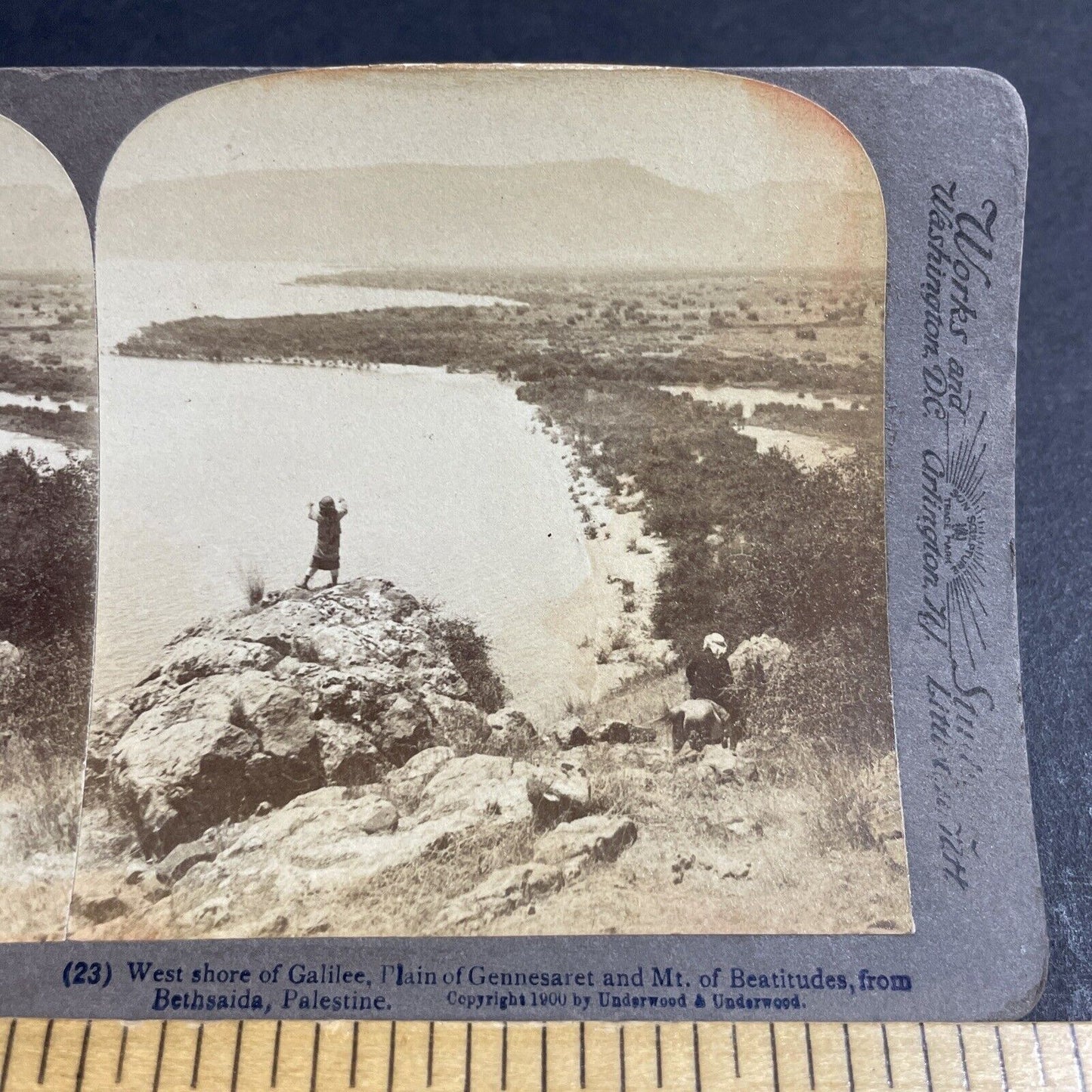 Antique 1900 Child Screaming At Cliff Edge Israel Stereoview Photo Card P4187