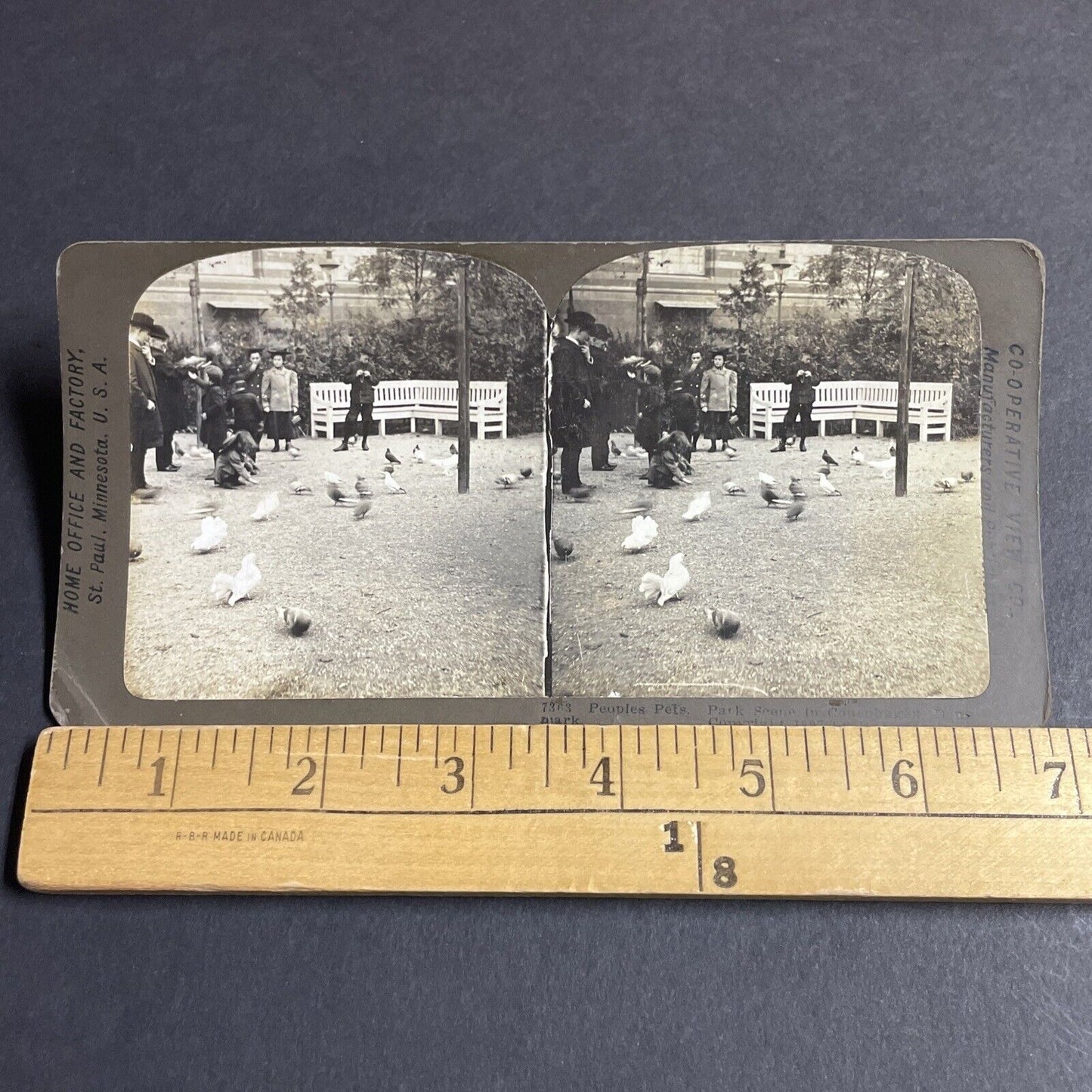 Antique 1907 Children Feed Pigeons Copenhagen Denmark Stereoview Photo Card 4209