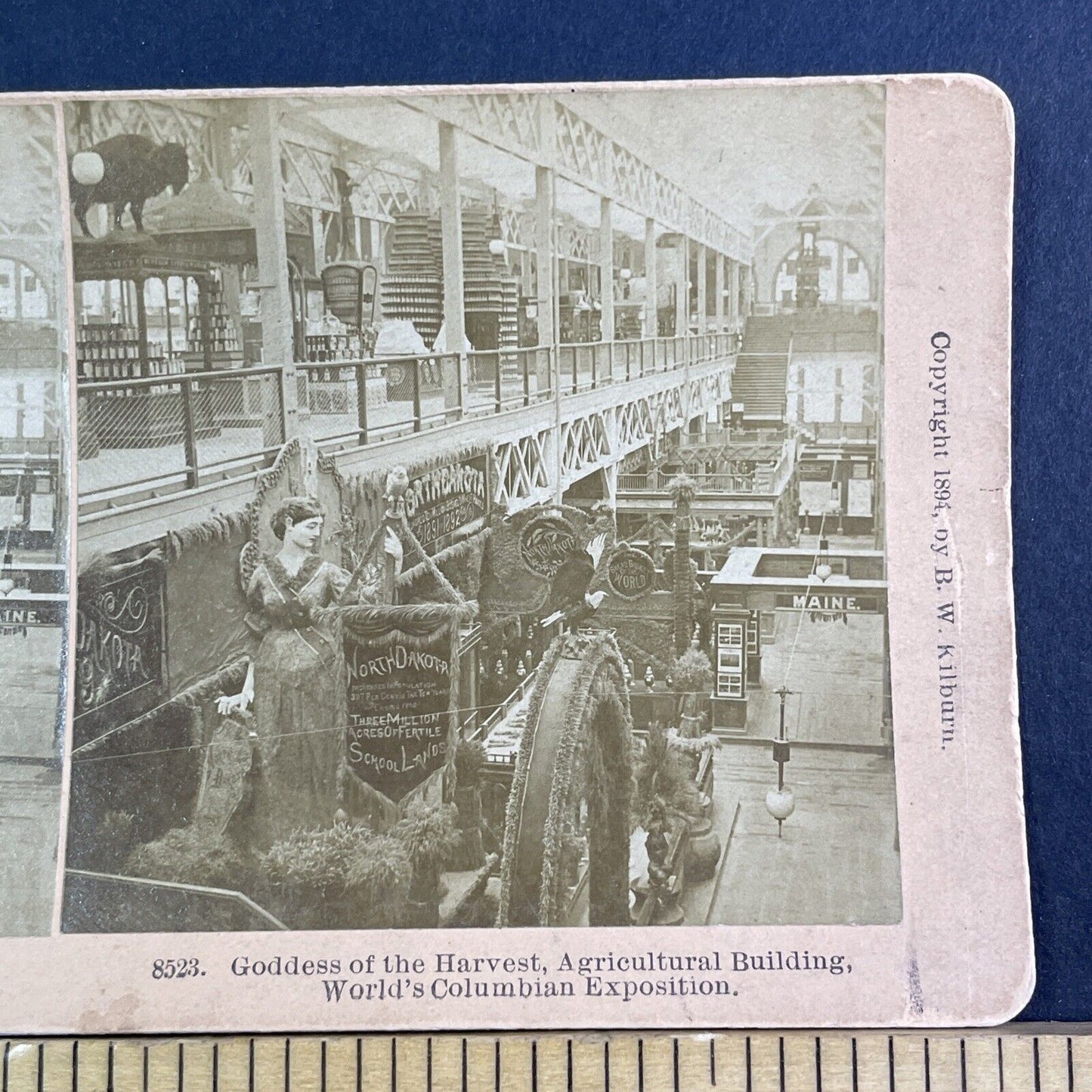 The North Dakota Exhibit Stereoview Chicago World's Fair Antique c1894 X3219