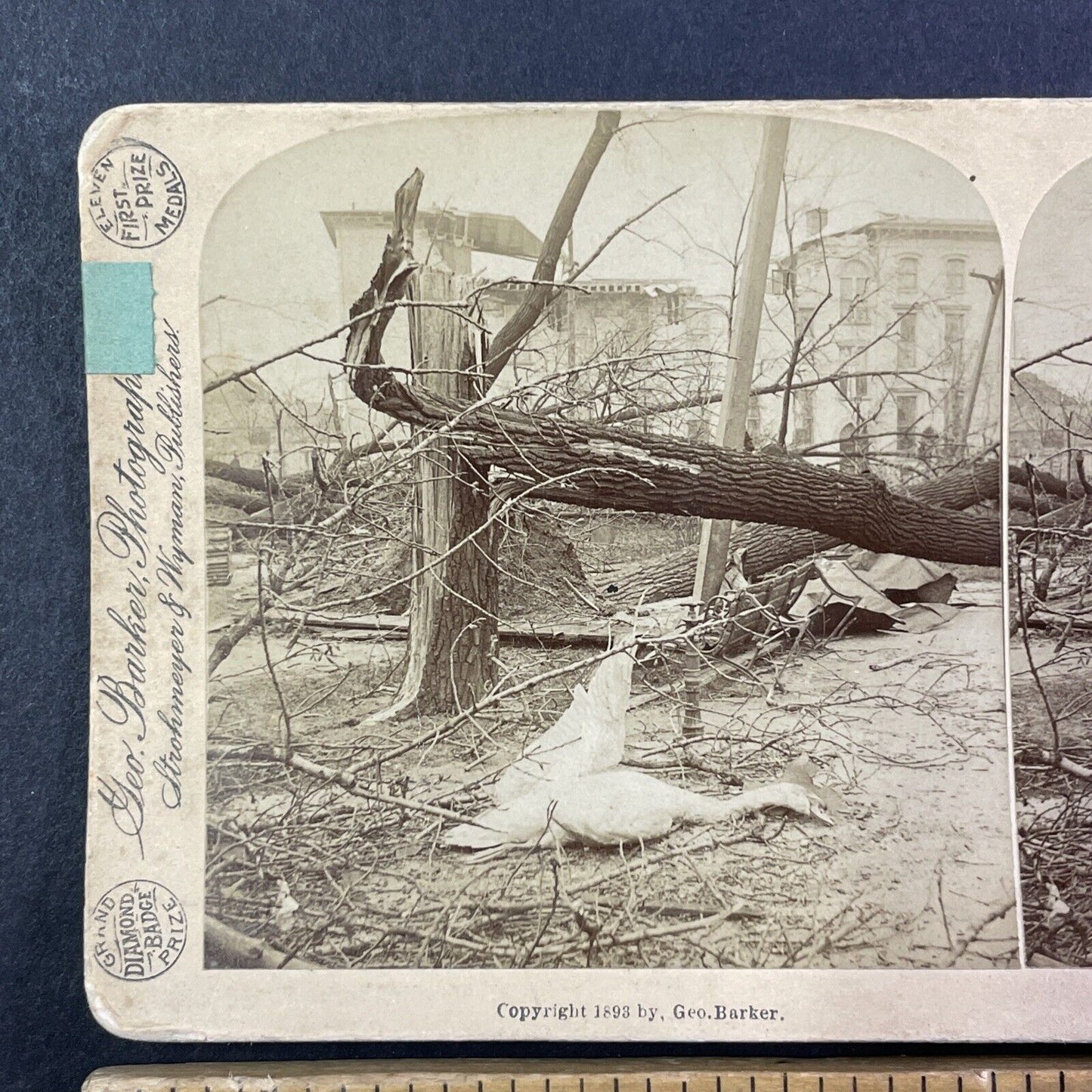 Louisville Tornado Disaster Damage Stereoview Kentucky Antique c1893 X2581