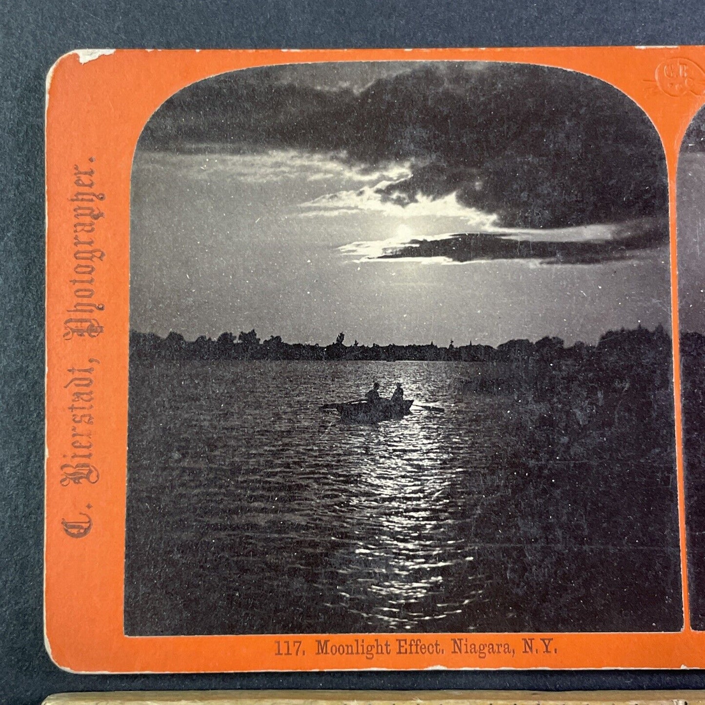 Navy Island Chippawa Ontario Canada Stereoview Charles Bierstadt c1870s Y1839