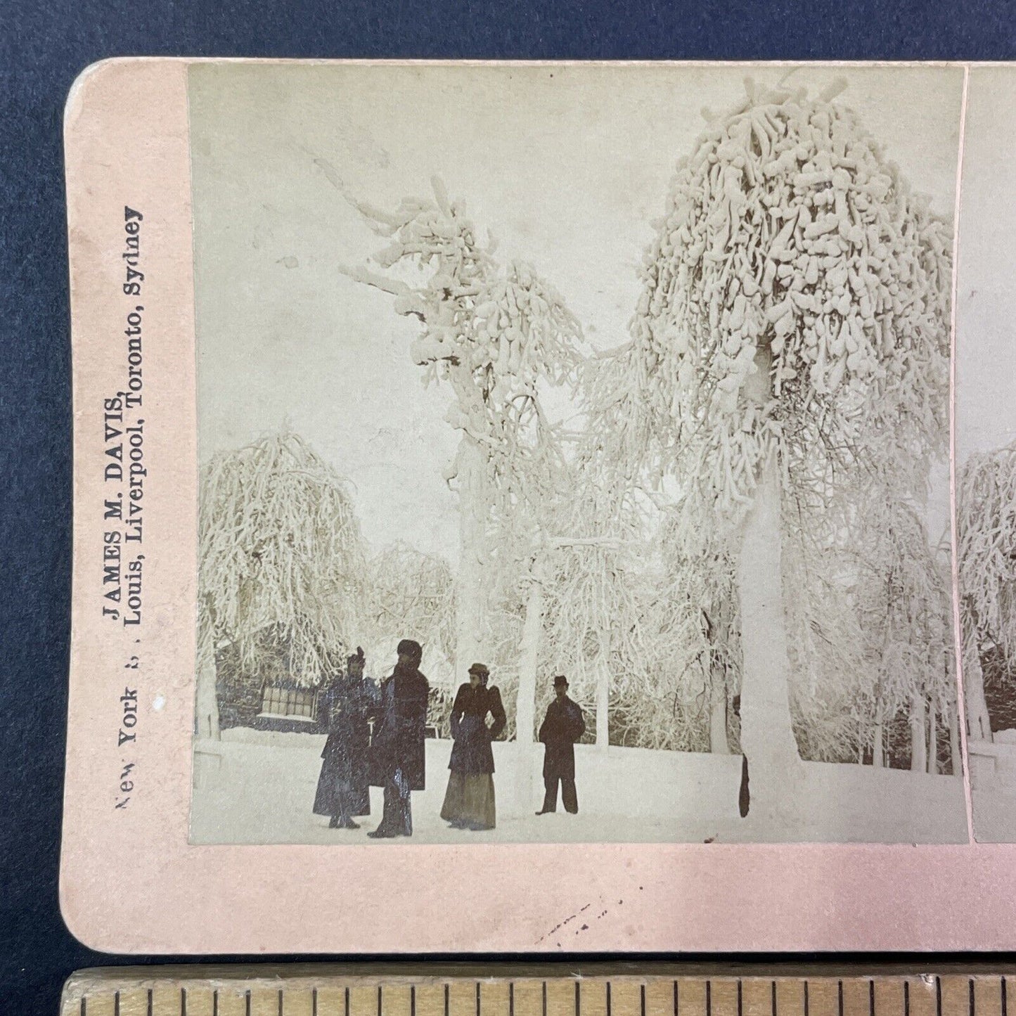 Ice Frozen Trees Niagara Falls New York Stereoview Antique c1893 Y1860