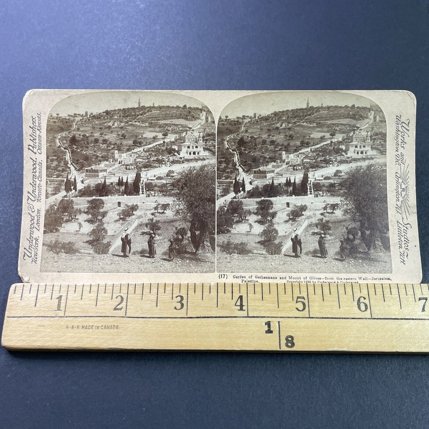 Antique 1899 Ancient Gardens Of Jerusalem Israel Stereoview Photo Card P3896