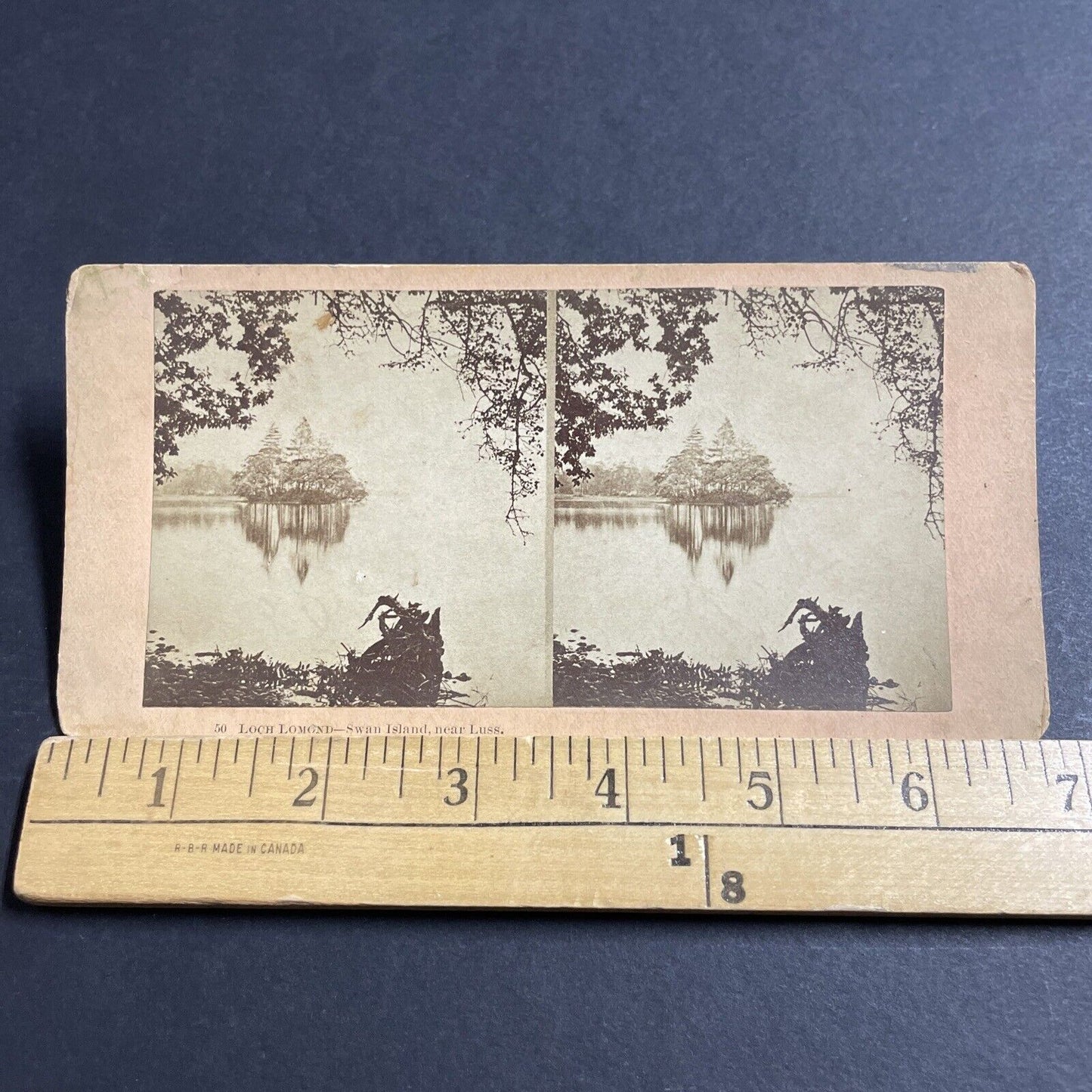 Antique 1890s Swan Island Loch Lomond Scotland Stereoview Photo Card P5564