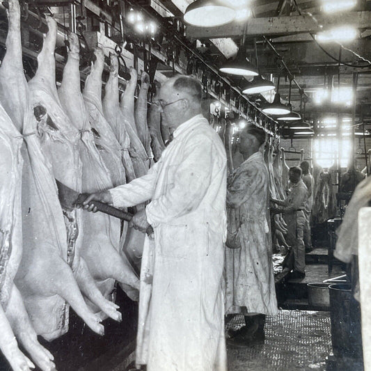 Antique 1918 Pig Pork Abattoir Chicago Illinois Stereoview Photo Card P3070