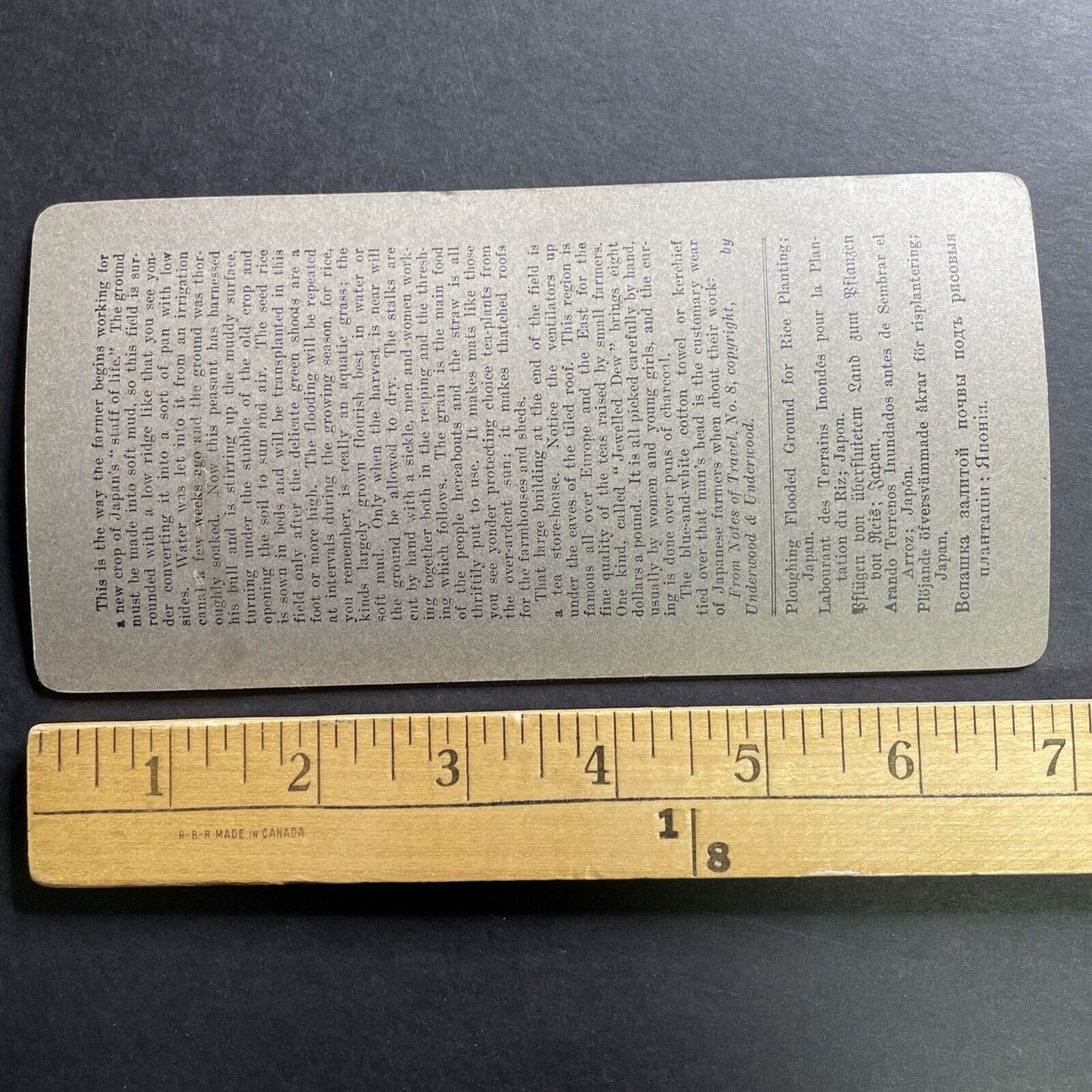 Antique 1903 Farming In Uji Japan Flooded Field Stereoview Photo Card P1480