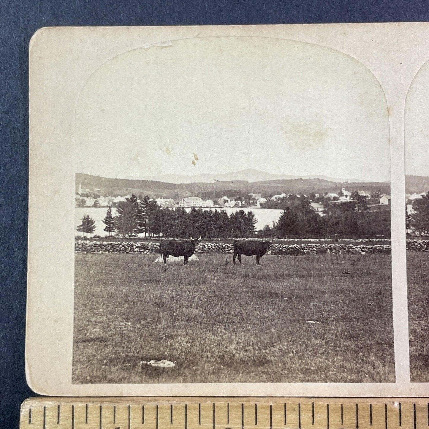 Wolfeboro New Hampshire Stereoview Clarks Point Photo Card Antique c1870 X929