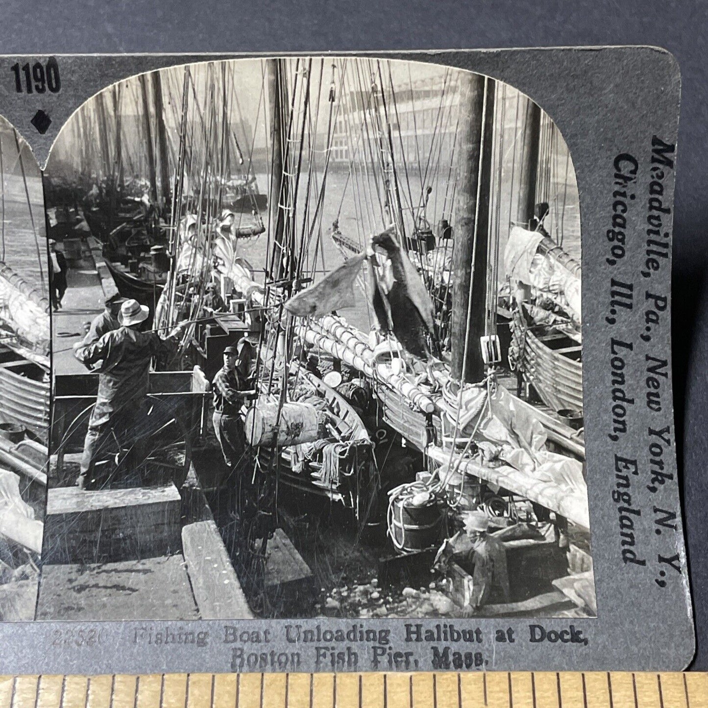 Antique 1920s Halibut Fishermen In Boston MA Stereoview Photo Card V2636