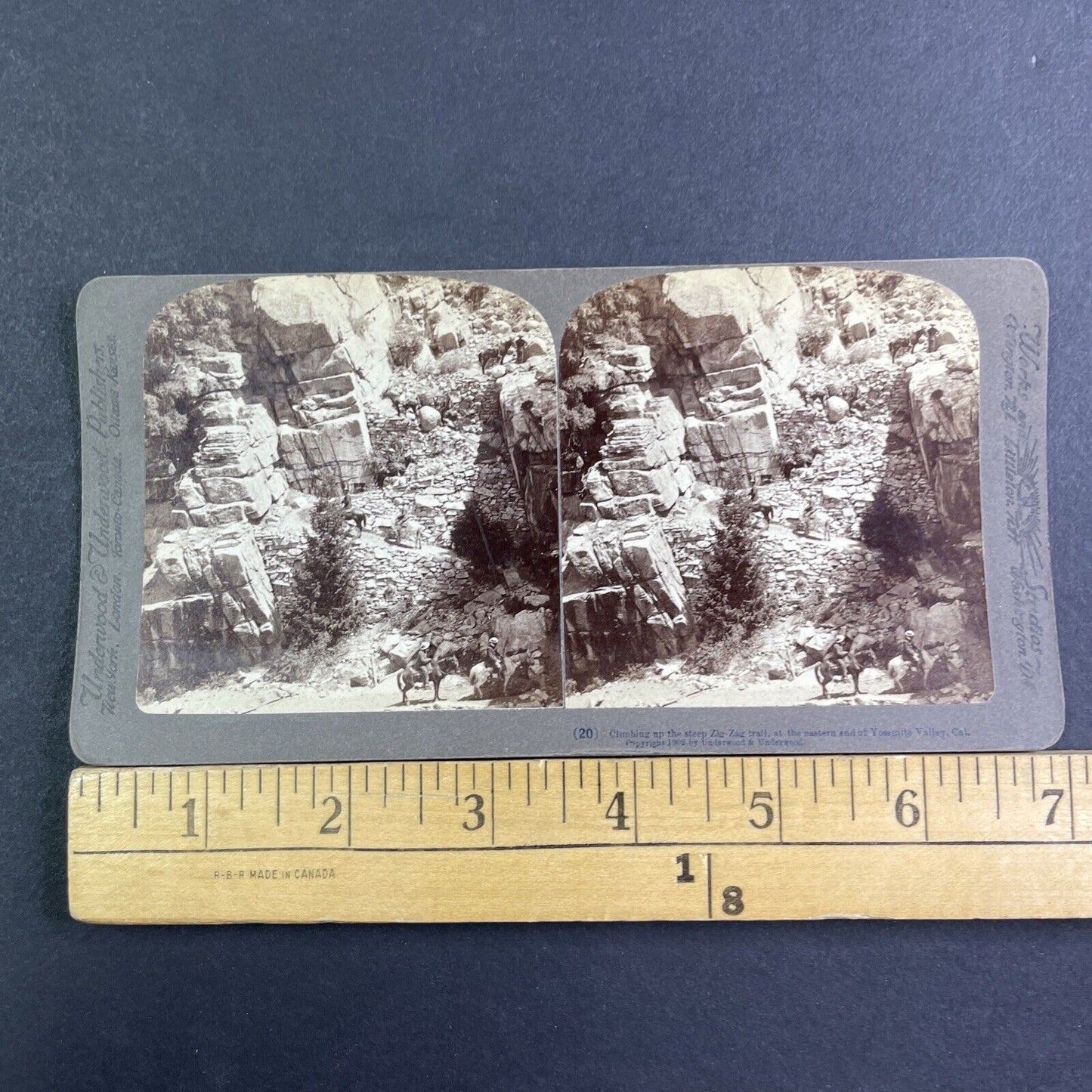 Big Oak Flat Road Yosemite California Stereoview Photo Antique c1902 X3195