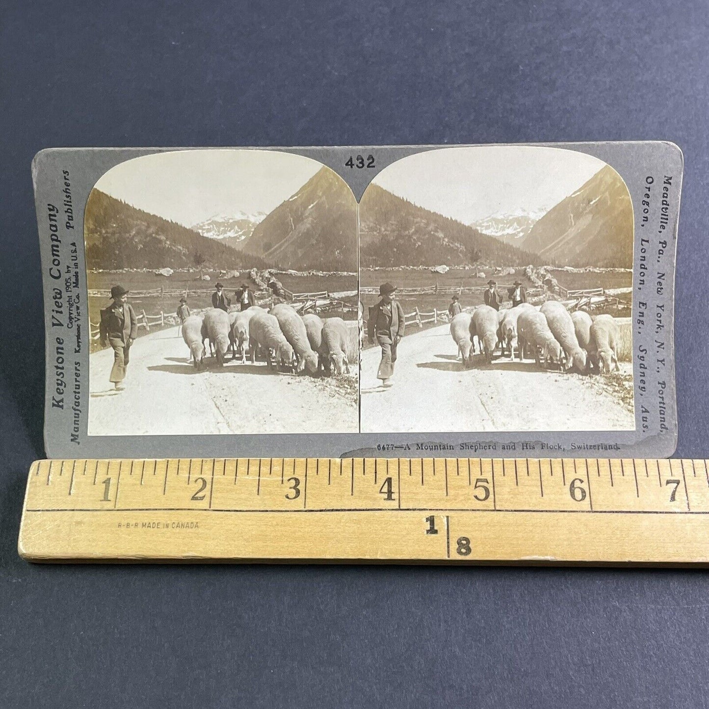 Antique 1905 Sheep Herder Farmer In The Swiss Alps Stereoview Photo Card P2233