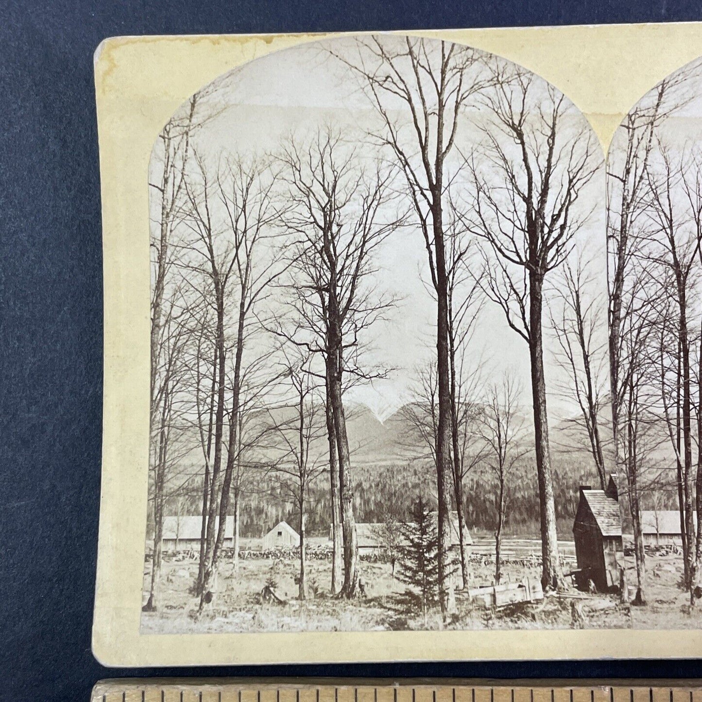 Mount Lafayette New Hampshire Stereoview Homestead View Antique c1870s Y1469