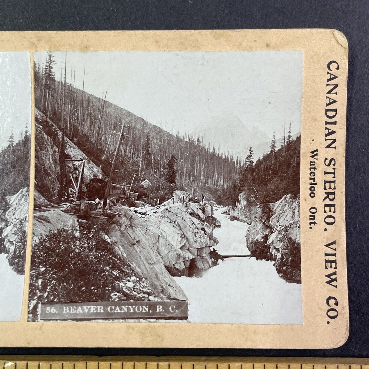 Beaver Canyon Station British Columbia Stereoview CPR Rail Views c1899 Y2113