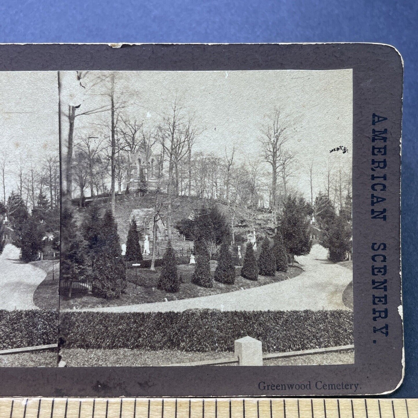 Antique 1880s Green-Wood Cemetery Brooklyn NY Stereoview Photo Card P2438