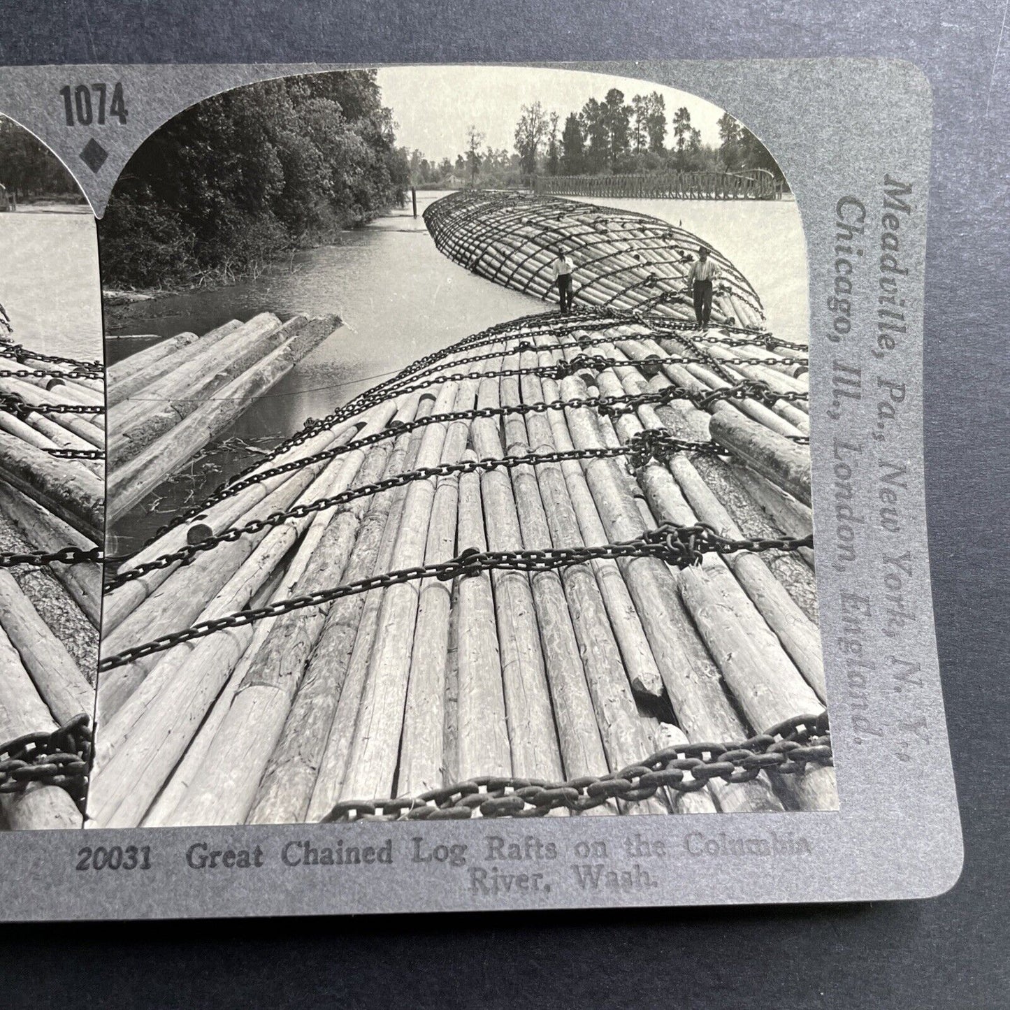 Antique 1910 Log Drivers Columbia River Washington Stereoview Photo Card P1546