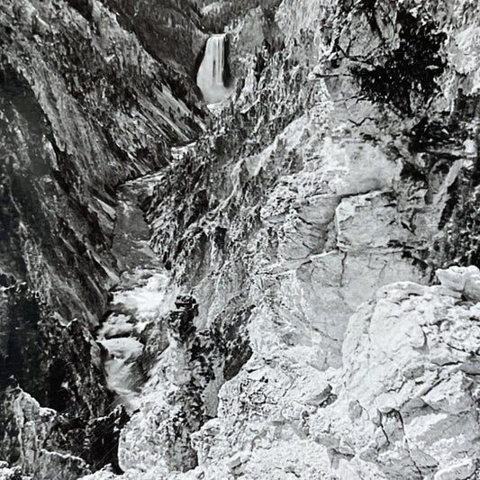 Antique 1910s Grand Canyon On Yellowstone Park WY Stereoview Photo Card V2042