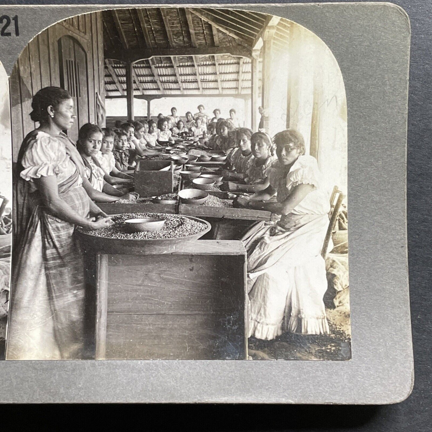 Antique 1918 Women Sorting Coffee Beans Peru Stereoview Photo Card P1469