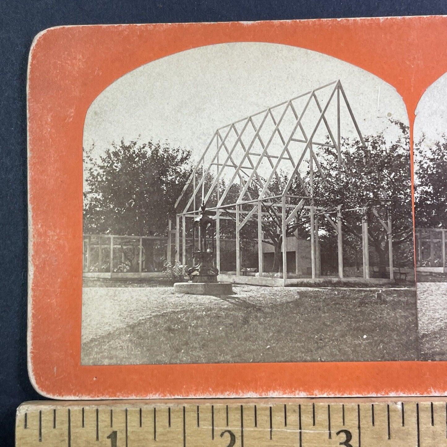 Building A Greenhouse Around A Rare Tree Stereoview Antique c1865 X1623