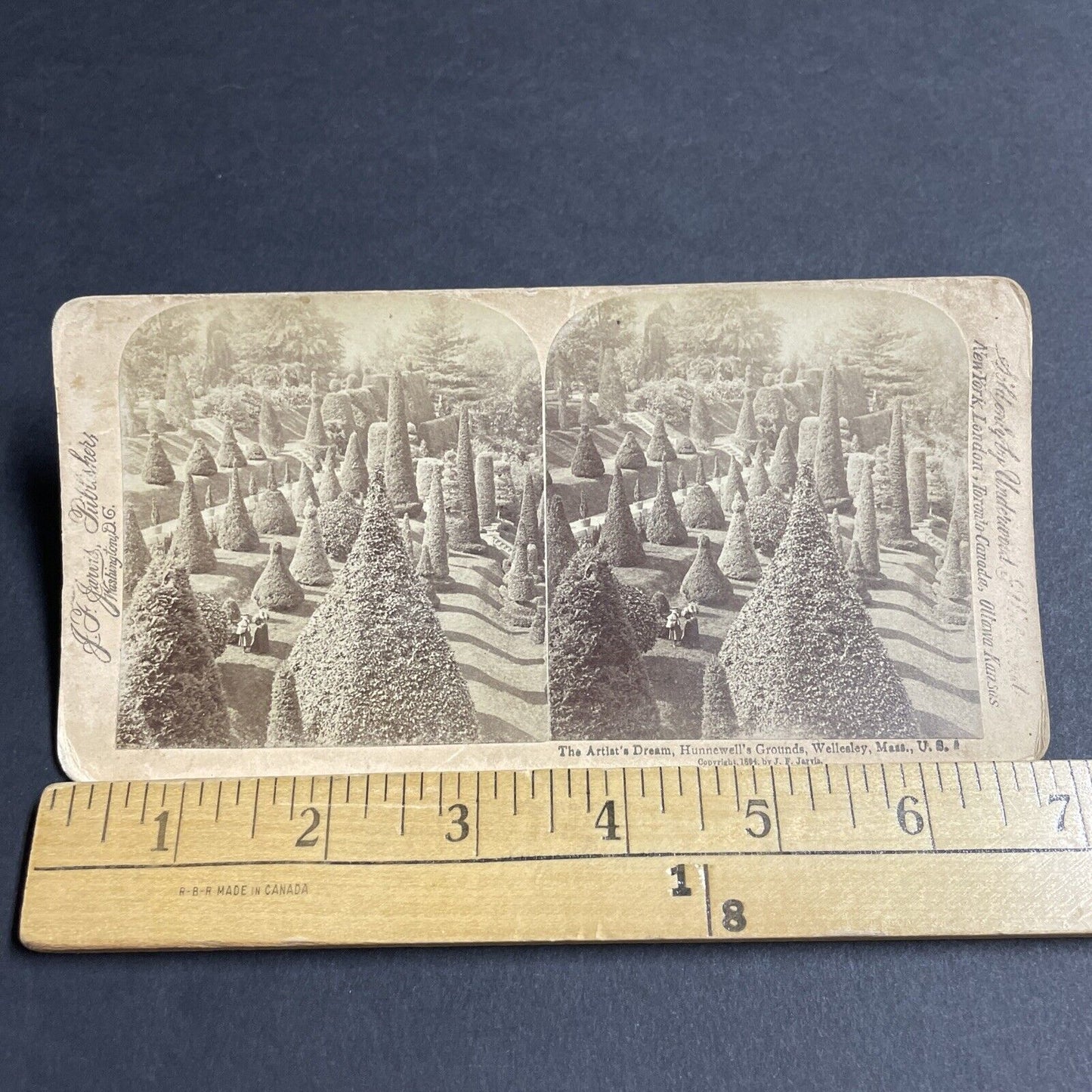 Antique 1894 Hunnewells Gardens Wellesley MA Stereoview Photo Card P4883