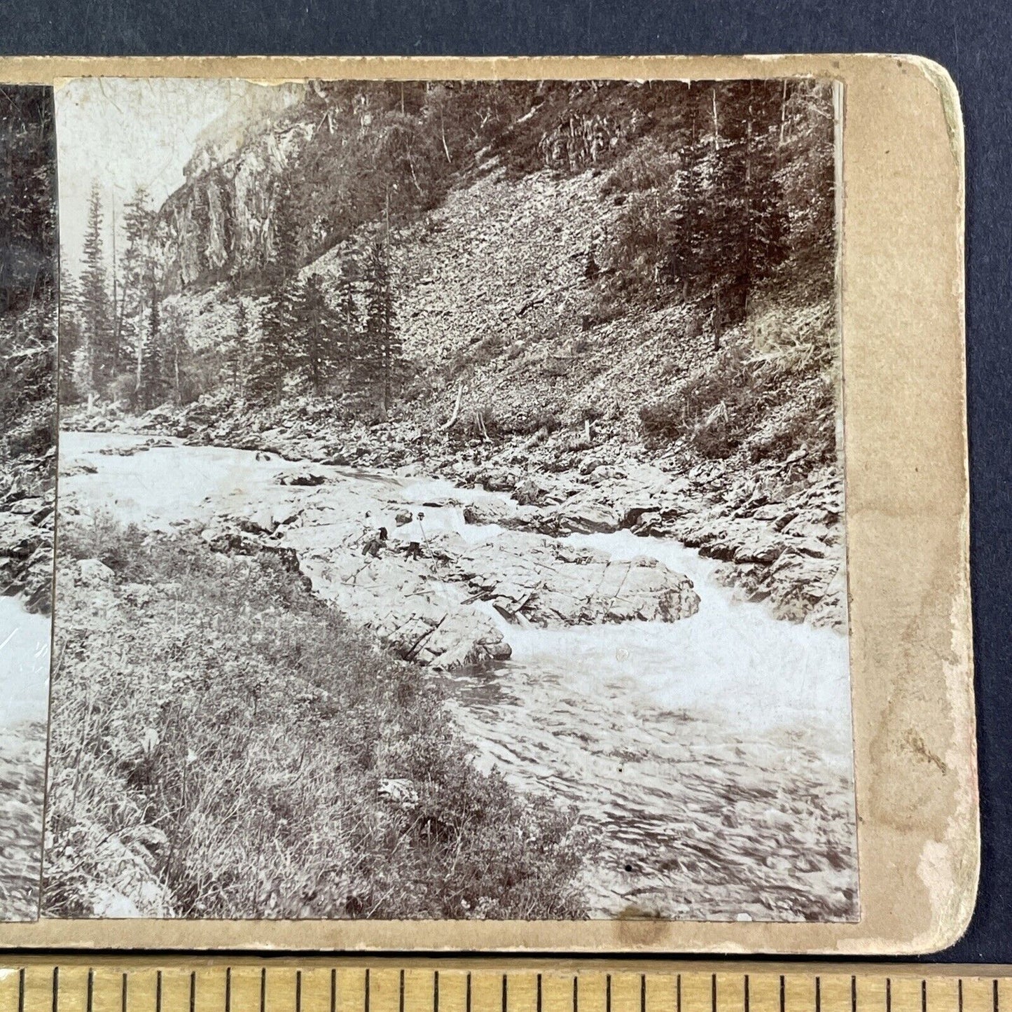 Kumir River Altai Siberia Russia Stereoview IR Tomashkevich Antique c1896 X2622