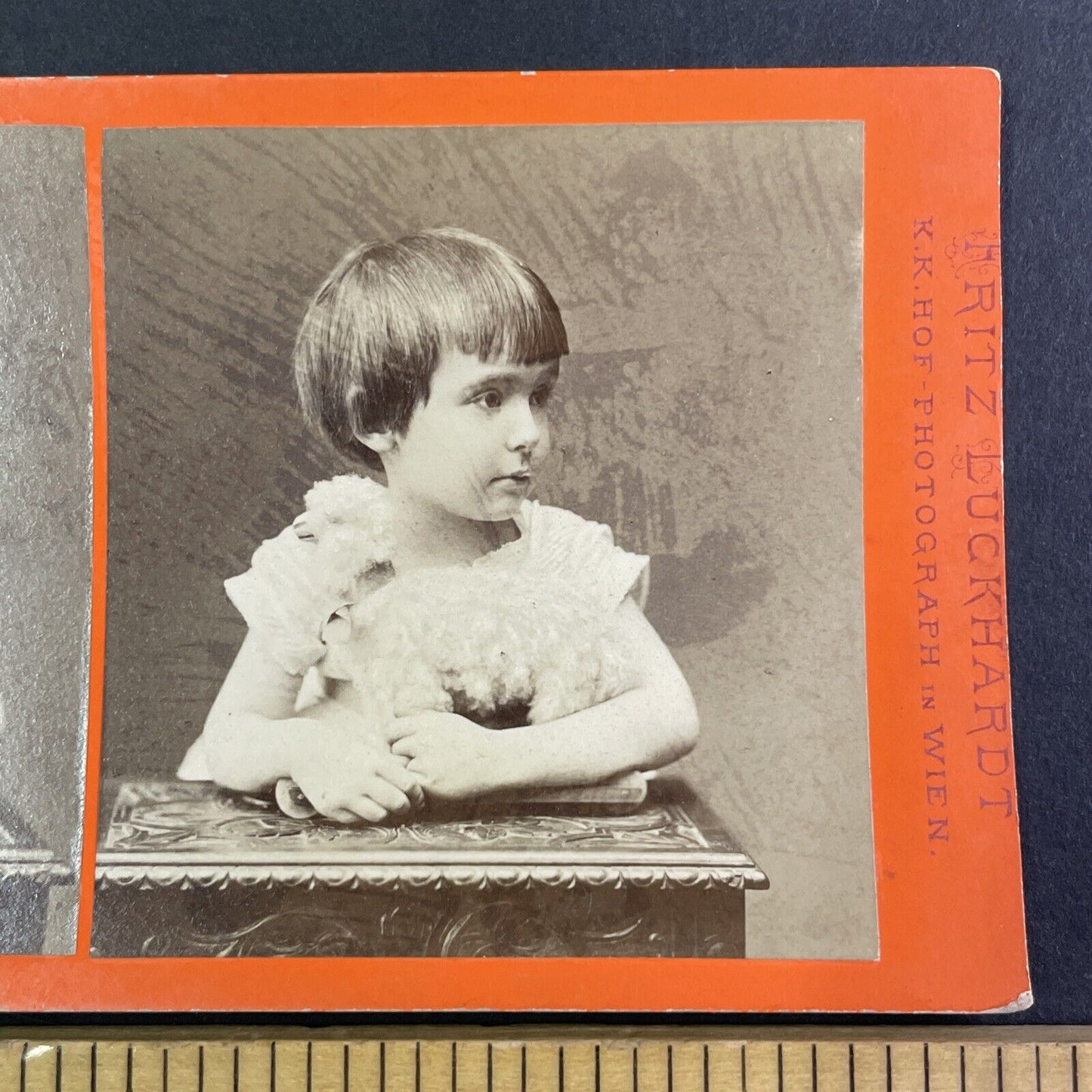 Child with a Bowl Cut Bowlcut Haircut Stereoview Fritz Luckhardt c1870s Y1322