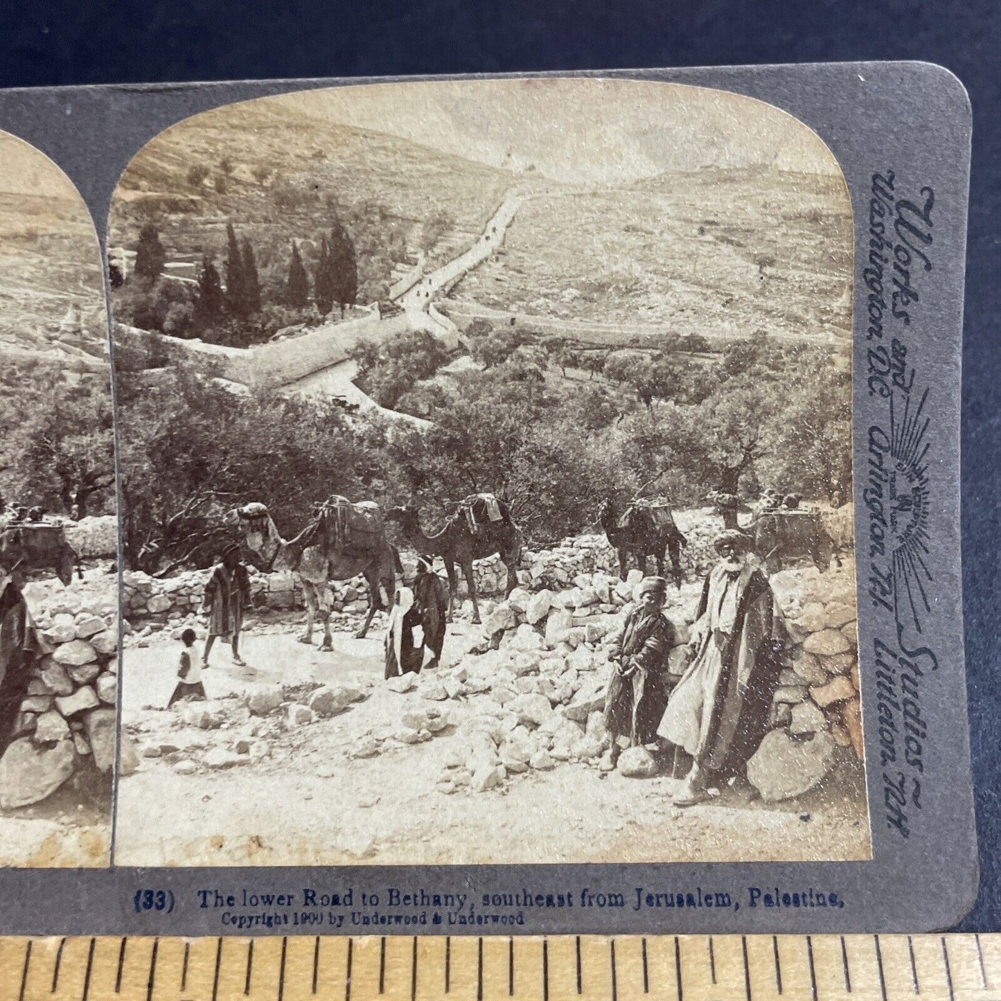 Antique 1900 Desert Caravan Travels To Jerusalem Stereoview Photo Card P4238