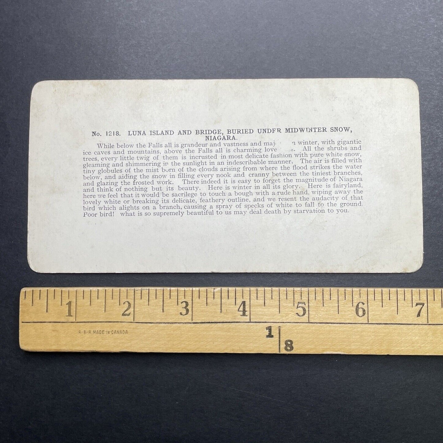 Antique 1905 Luna Island Bridge Niagara Falls Winter Stereoview Photo Card P1249