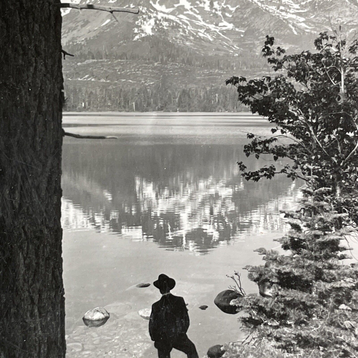 Fallen Leaf Lake California Stereoview El Dorado County Antique c1905 X1863