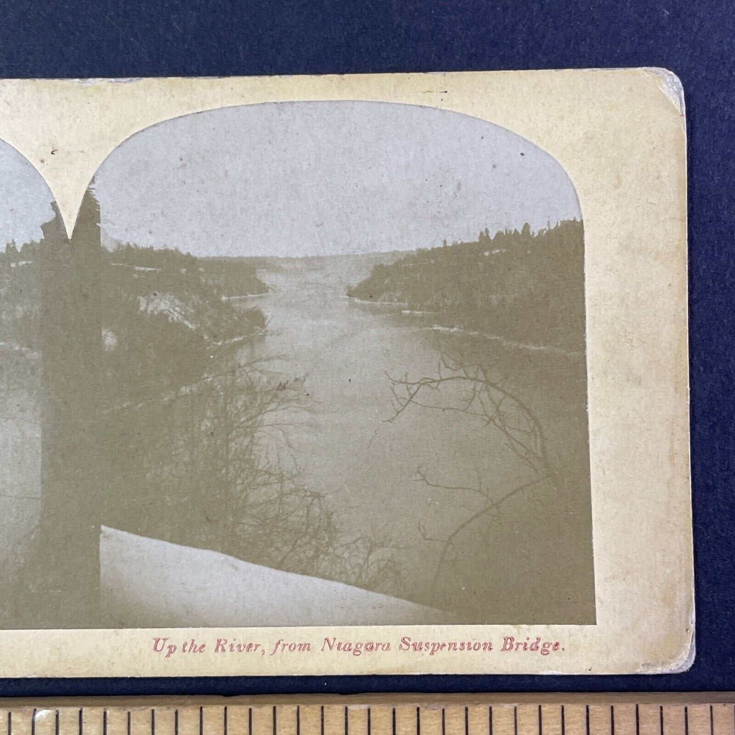 Niagara River Gorge From Suspension Bridge Stereoview Antique c1870s Y2551