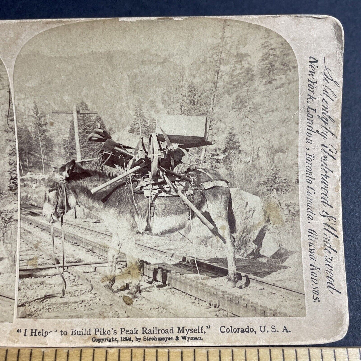 Antique 1894 Donkey Hauls Railroad Construction Tools Stereoview Photo Card 4335