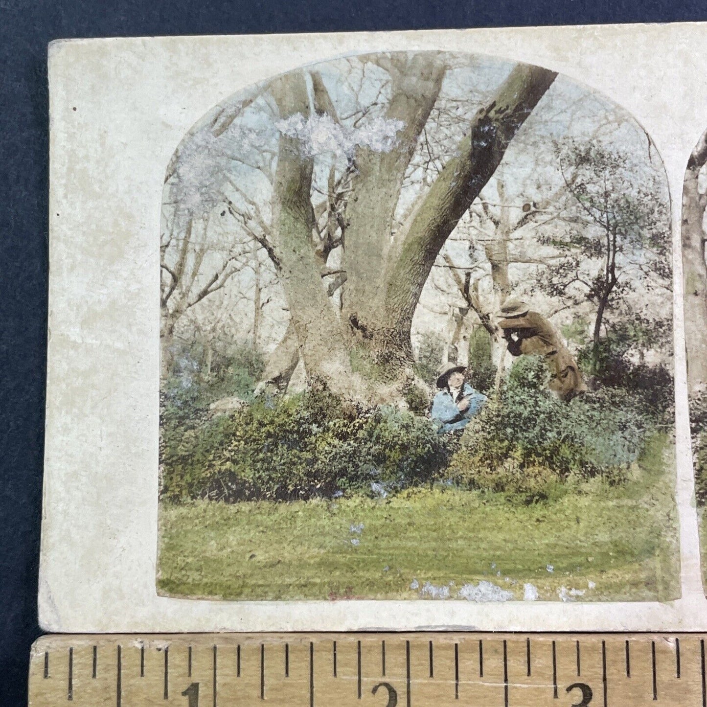 British Gardeners Landscapers Take A Rest Stereoview Antique c1870 X2453