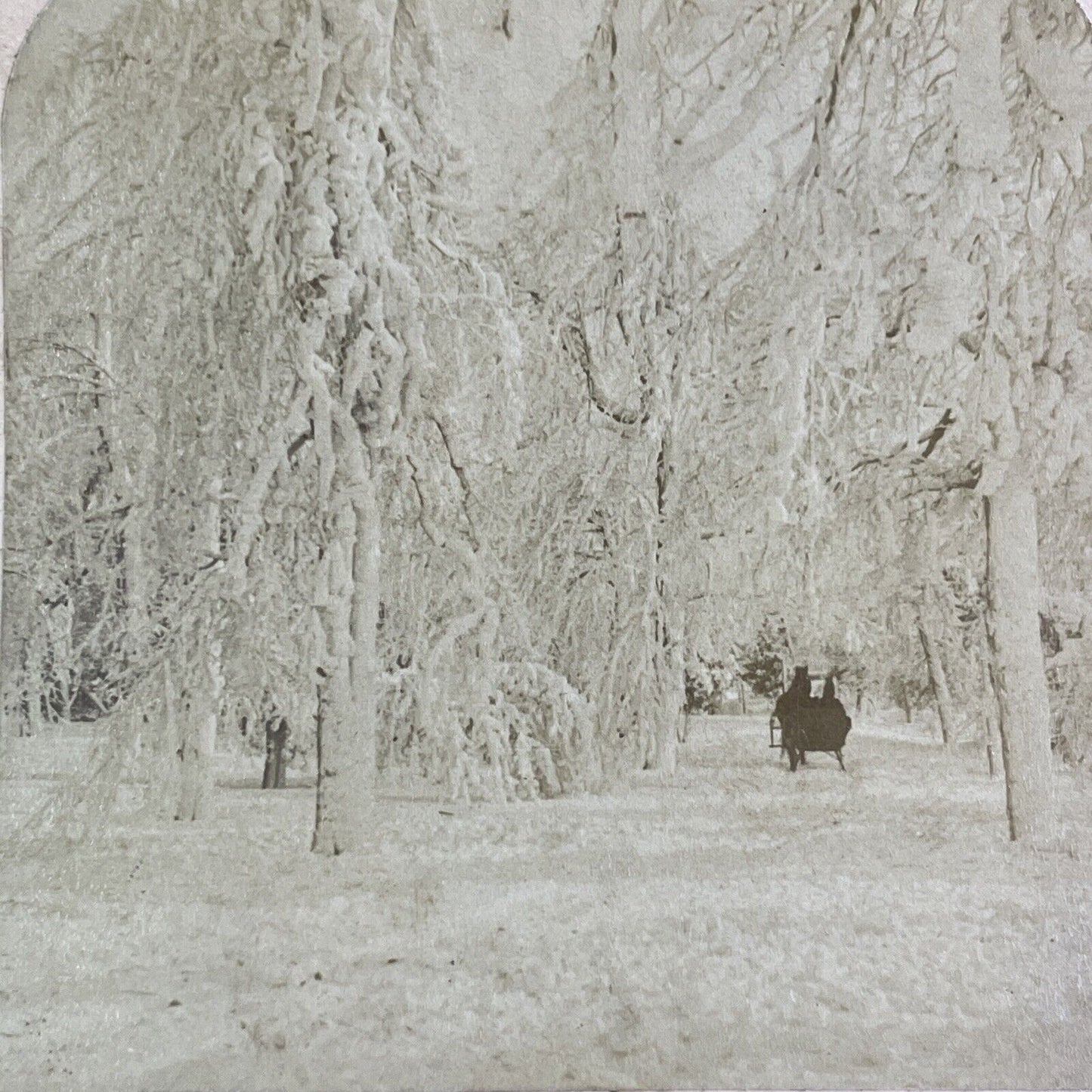 Winter Sleigh Ride in Prospect Park Stereoview Niagara Falls Antique c1893 Y2751