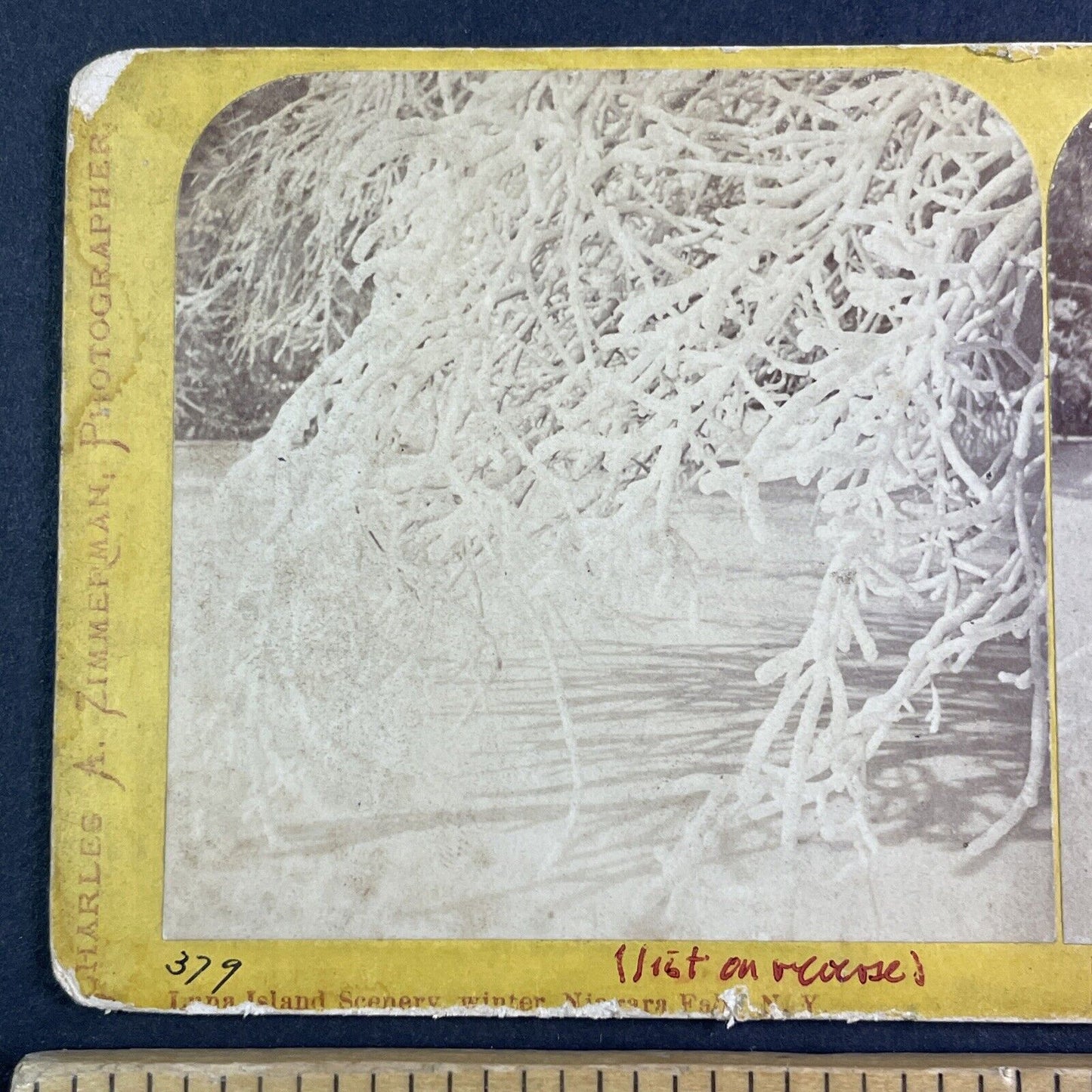 Frozen Trees on Luna Island Niagara Stereoview Charles Zimmerman c1870s Y2608