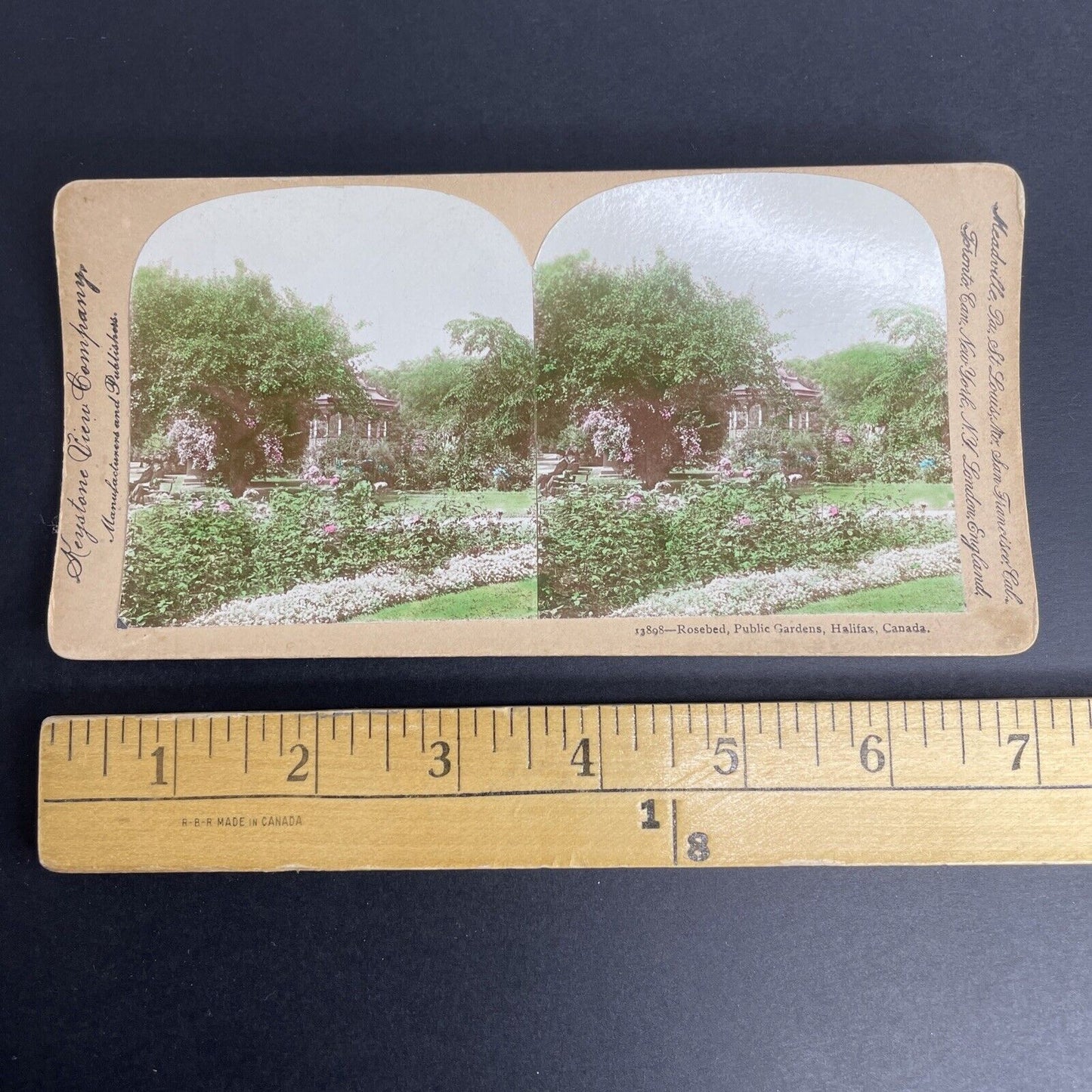 Antique 1890's Public Gardens Halifax Nova Scotia Stereoview Photo Card PC856