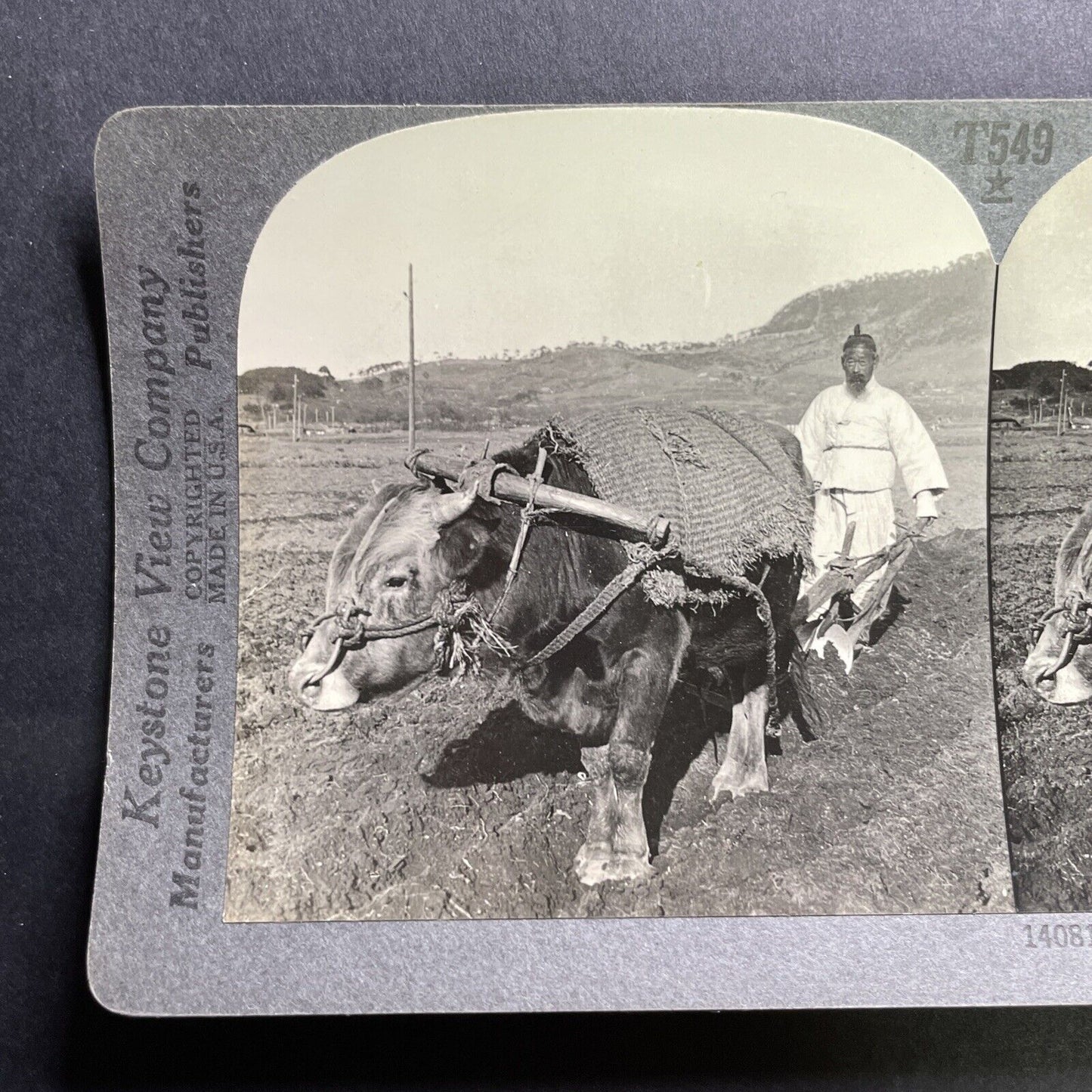 Antique 1901 Farmer Ploughing Field Seoul Korea Stereoview Photo Card P1790